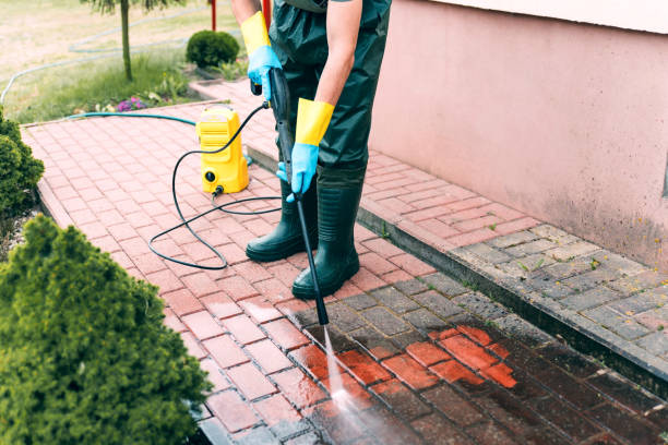 Best Dumpster Area Cleaning  in Shady Spring, WV